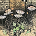 Yoshio Imamura Gallery